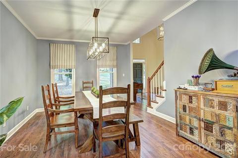 13209 White Birch Ter, Davidson, NC 28036 photo 12