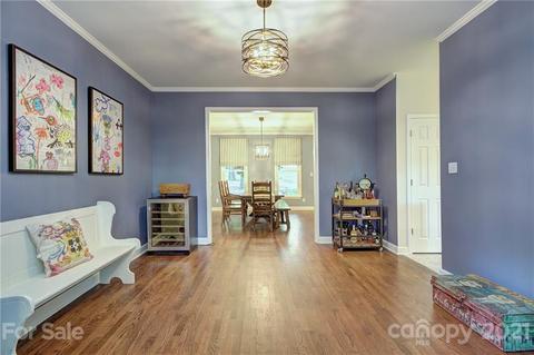 13209 White Birch Ter, Davidson, NC 28036 photo 13