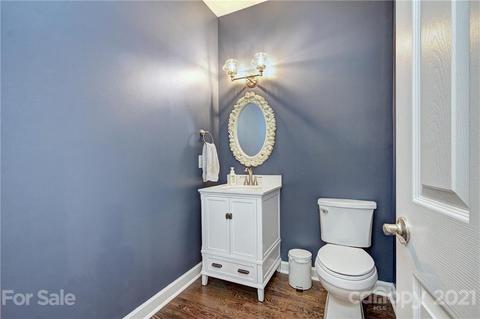 13209 White Birch Ter, Davidson, NC 28036 photo 16