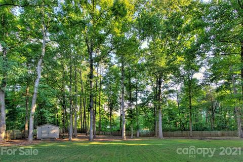 13209 White Birch Ter, Davidson, NC 28036 photo 32