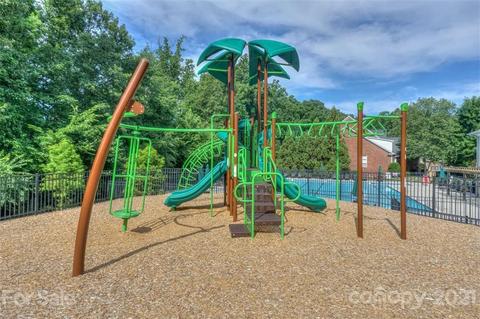 10219 Squires Way, Cornelius, NC 28031 photo 46