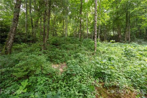 17 Fairview Pointe Dr, Fairview, NC 28730 photo 9