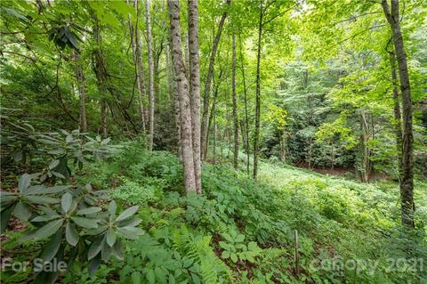 17 Fairview Pointe Dr, Fairview, NC 28730 photo 11