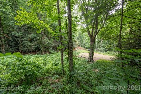 17 Fairview Pointe Dr, Fairview, NC 28730 photo 10