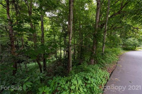17 Fairview Pointe Dr, Fairview, NC 28730 photo 1