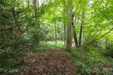 17 Fairview Pointe Dr, Fairview, NC 28730 photo 12