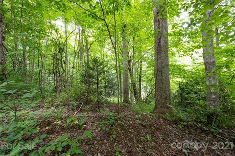 17 Fairview Pointe Dr, Fairview, NC 28730 photo 13