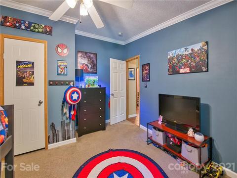 485 Loop Rd, Clyde, NC 28721 photo 25
