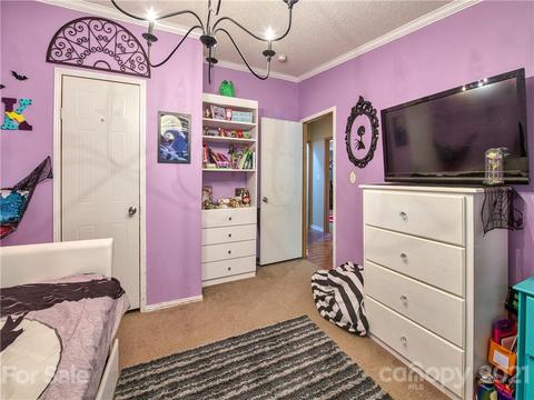 485 Loop Rd, Clyde, NC 28721 photo 23