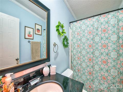 485 Loop Rd, Clyde, NC 28721 photo 21
