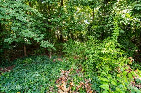 851 Knightsbridge Rd, Fort Mill, SC 29708 photo 31
