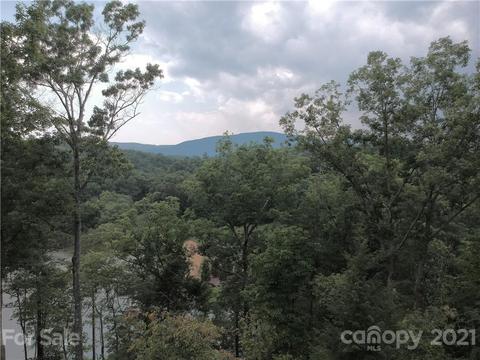 1455 Mountain Pkwy, Mill Spring, NC 28756 photo 33