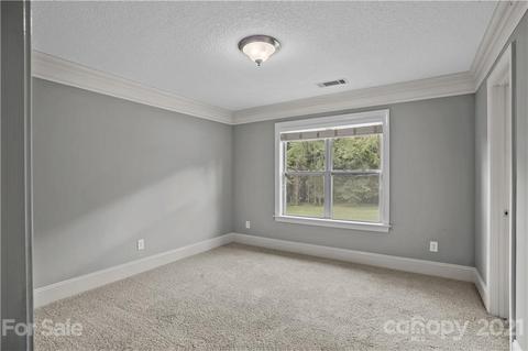 1054 Madras Ct, Davidson, NC 28036 photo 21