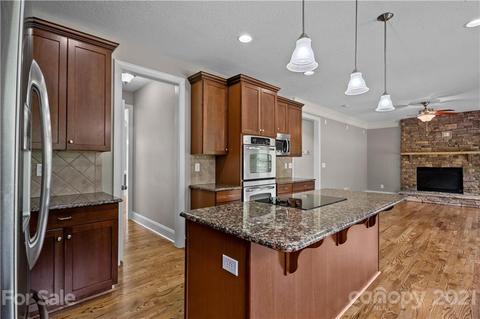 1054 Madras Ct, Davidson, NC 28036 photo 17