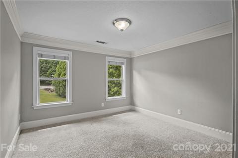 1054 Madras Ct, Davidson, NC 28036 photo 20