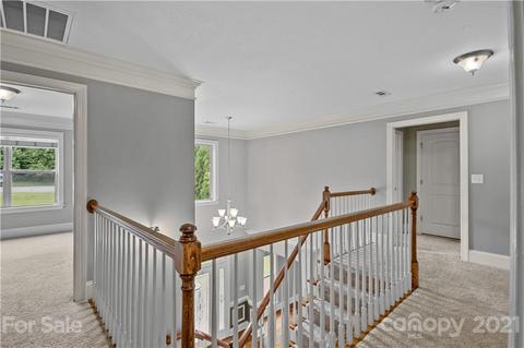 1054 Madras Ct, Davidson, NC 28036 photo 26