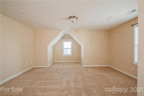 11079 Hat Creek Ln, Davidson, NC 28036 photo 18