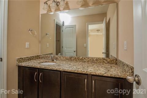 11079 Hat Creek Ln, Davidson, NC 28036 photo 29