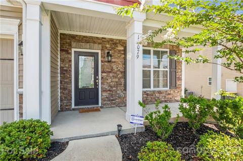 11079 Hat Creek Ln, Davidson, NC 28036 photo 31