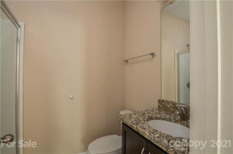 11079 Hat Creek Ln, Davidson, NC 28036 photo 28