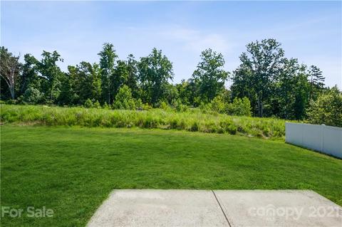 11079 Hat Creek Ln, Davidson, NC 28036 photo 36