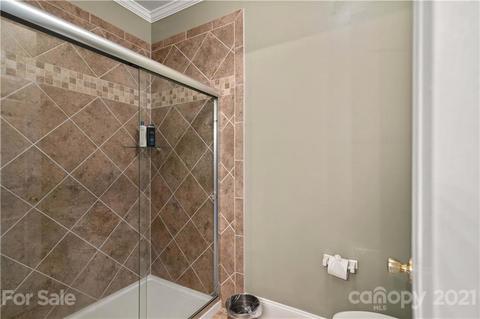 18787 Vineyard Point Ln, Cornelius, NC 28031 photo 12