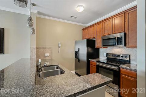 18787 Vineyard Point Ln, Cornelius, NC 28031 photo 5