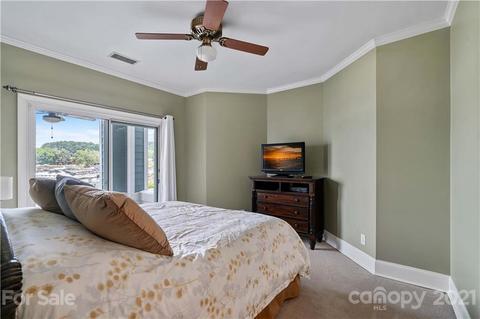 18787 Vineyard Point Ln, Cornelius, NC 28031 photo 10
