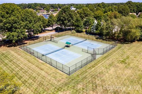 18787 Vineyard Point Ln, Cornelius, NC 28031 photo 22