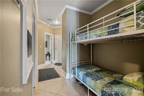 18787 Vineyard Point Ln, Cornelius, NC 28031 photo 8