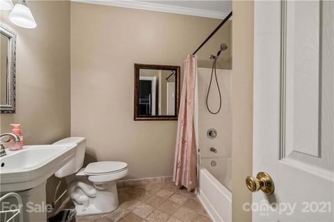 18787 Vineyard Point Ln, Cornelius, NC 28031 photo 15