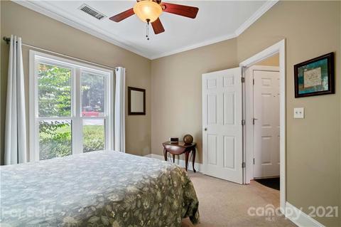 18787 Vineyard Point Ln, Cornelius, NC 28031 photo 14