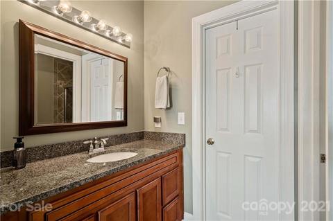 18787 Vineyard Point Ln, Cornelius, NC 28031 photo 11