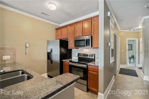 18787 Vineyard Point Ln, Cornelius, NC 28031 photo 6