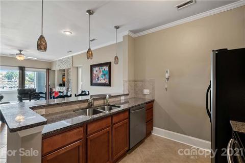 18787 Vineyard Point Ln, Cornelius, NC 28031 photo 7