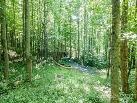 188 Durango Pl, Sylva, NC 28779 photo 29