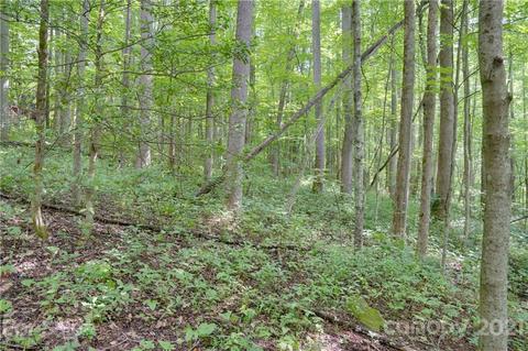 188 Durango Pl, Sylva, NC 28779 photo 31