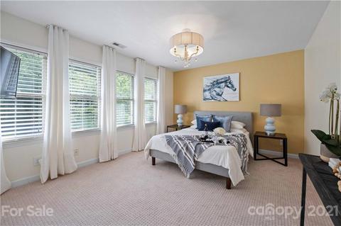 18541 Vineyard Point Ln, Cornelius, NC 28031 photo 35