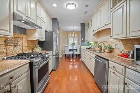 18541 Vineyard Point Ln, Cornelius, NC 28031 photo 17