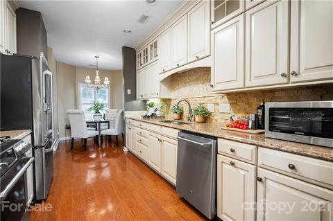 18541 Vineyard Point Ln, Cornelius, NC 28031 photo 18