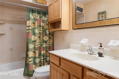 58 Dry Spring Rd, Candler, NC 28715 photo 21
