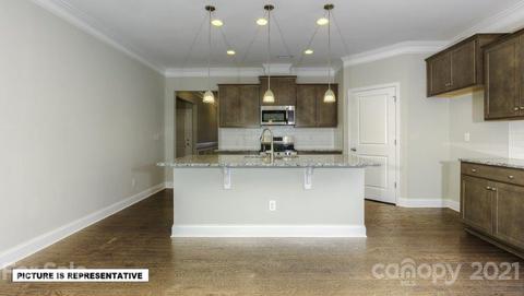 4489 Streamside Rd, Denver, NC 28037 photo 14