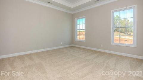 4493 Streamside Rd, Denver, NC 28037 photo 11