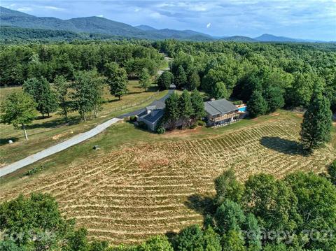 868 Henry Ruff Rd, Mill Spring, NC 28756 photo 46