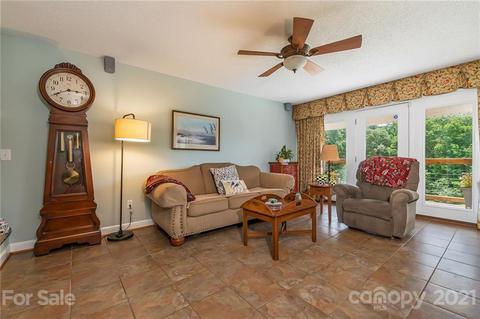 868 Henry Ruff Rd, Mill Spring, NC 28756 photo 9
