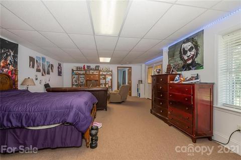 868 Henry Ruff Rd, Mill Spring, NC 28756 photo 22