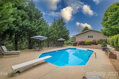 868 Henry Ruff Rd, Mill Spring, NC 28756 photo 33