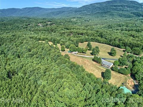 868 Henry Ruff Rd, Mill Spring, NC 28756 photo 42
