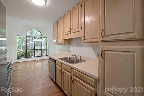 310 Jib Ct, Davidson, NC 28036 photo 9