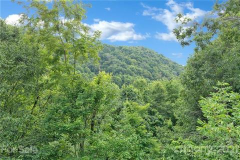 210 Angel Falls Rd, Clyde, NC 28721 photo 13
